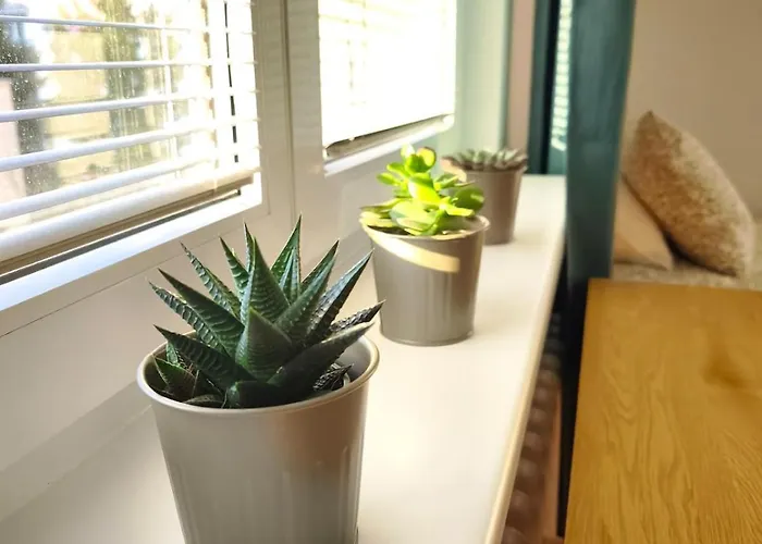 Lucky 7 - 2 Bdr Cozy Family - Near Sports And Culture *