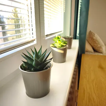 Lucky 7 - 2 Bdr Cozy Family - Near Sports And Culture *